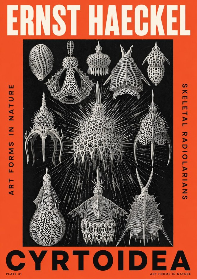 Ernst Haeckel Cyrtoidea - Starry Radiolarians No5 - Plakat