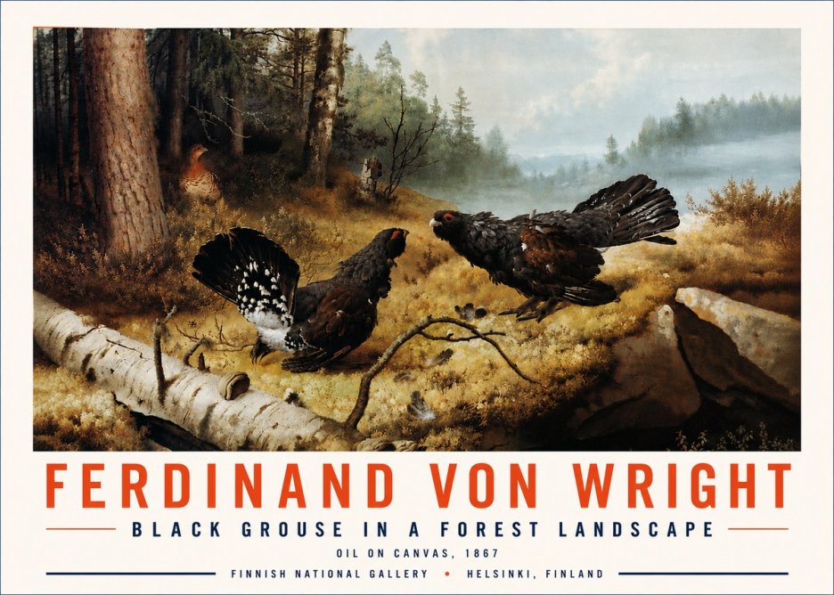 Ferdinand von Wright Black Grouse in a Forest Landscape No6 - Plakat