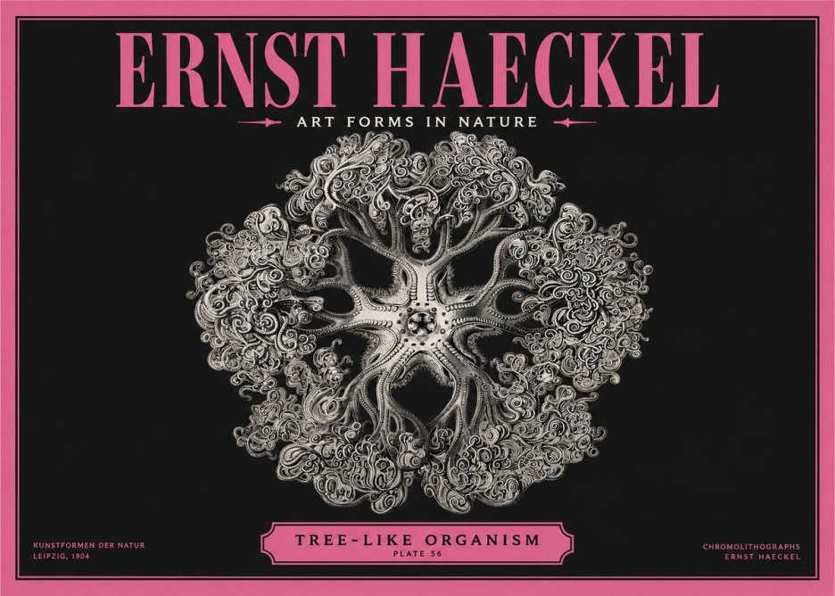 Ernst Haeckel Tree-like Organism No2 - Plakat
