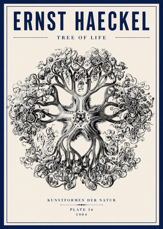 Ernst Haeckel Tree-like Organism No6 - Plakat