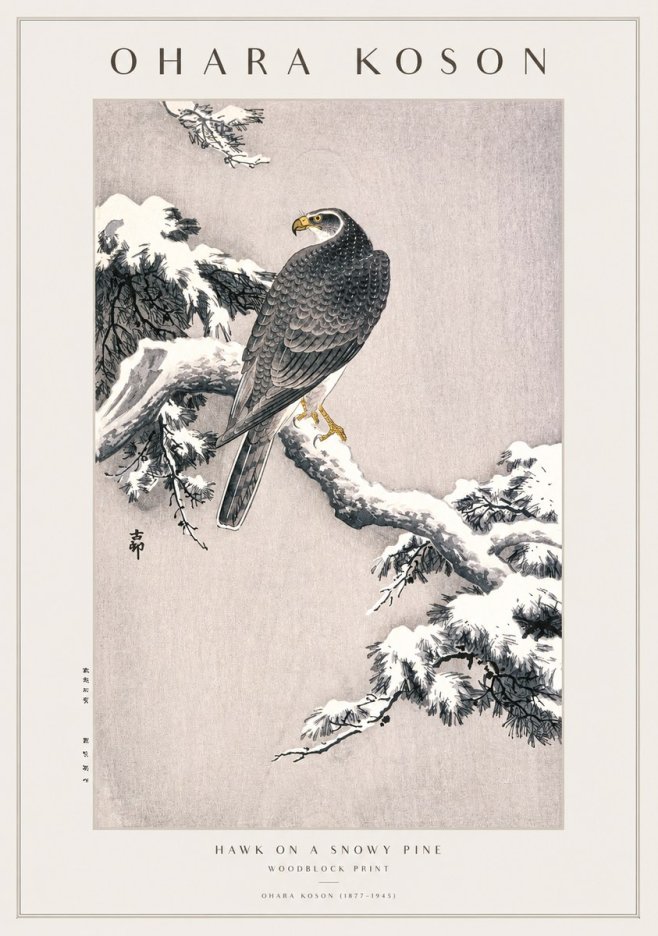 Ohara Koson Hawk on a Snowy Pine No1 - Plakat