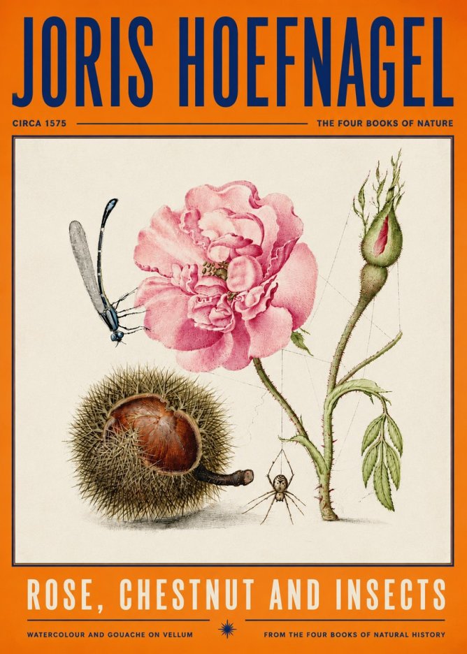 Joris Hoefnagel Rose, Chestnut and Insects No4 - Plakat