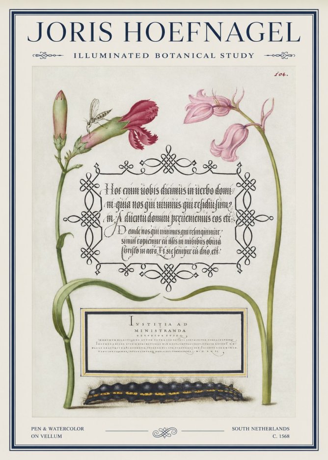 Joris Hoefnagel Floral Study with Insect and Caterpillar No5 - Plakat
