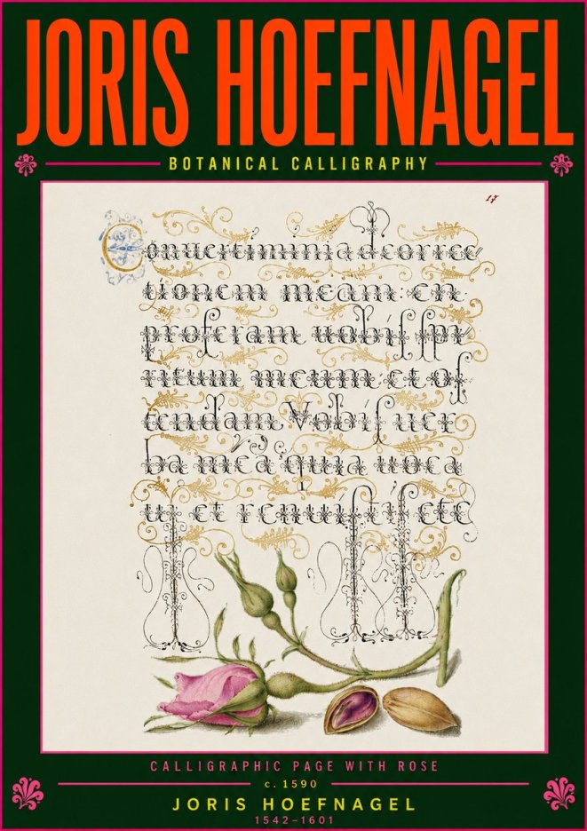 Joris Hoefnagel Calligraphic Page with Rose No5 - Plakat