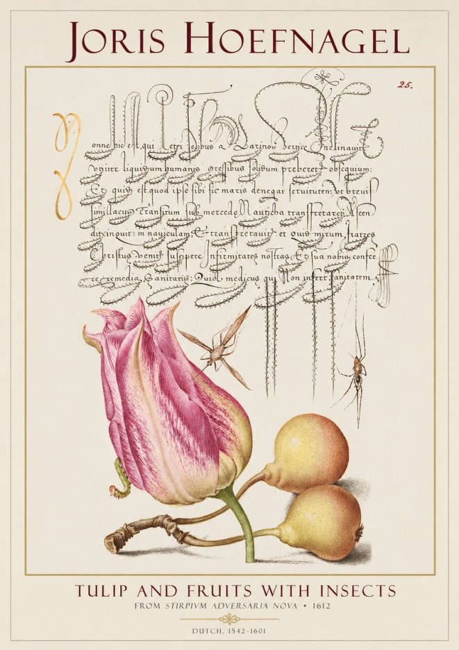 Joris Hoefnagel Tulip and Fruits with Insects No1 - Plakat