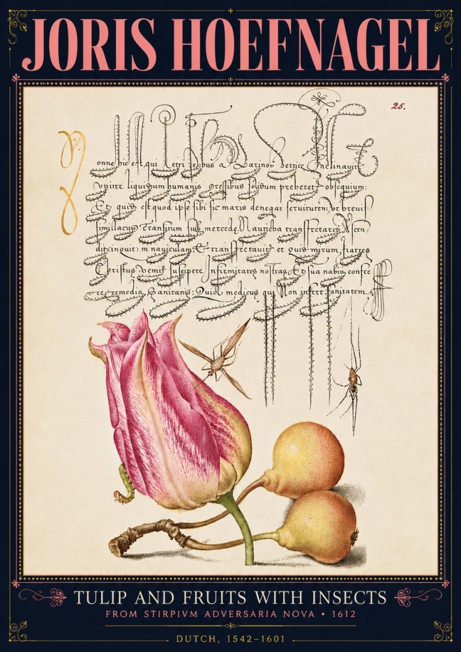 Joris Hoefnagel Tulip and Fruits with Insects No4 - Plakat
