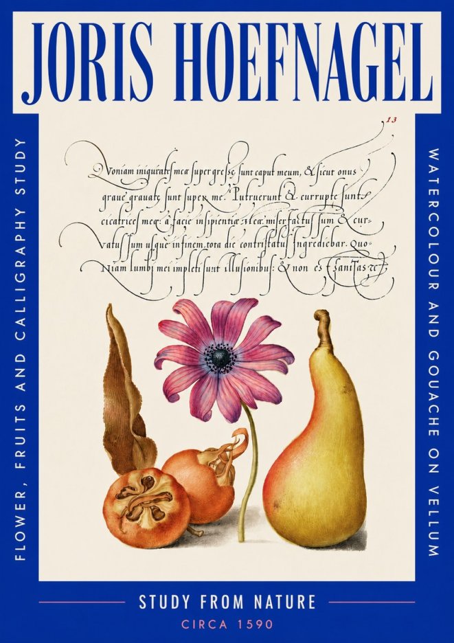 Joris Hoefnagel Study of Flower and Fruits No5 - Plakat