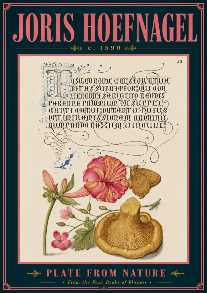 Joris Hoefnagel A Study of Nature II No6 - Plakat