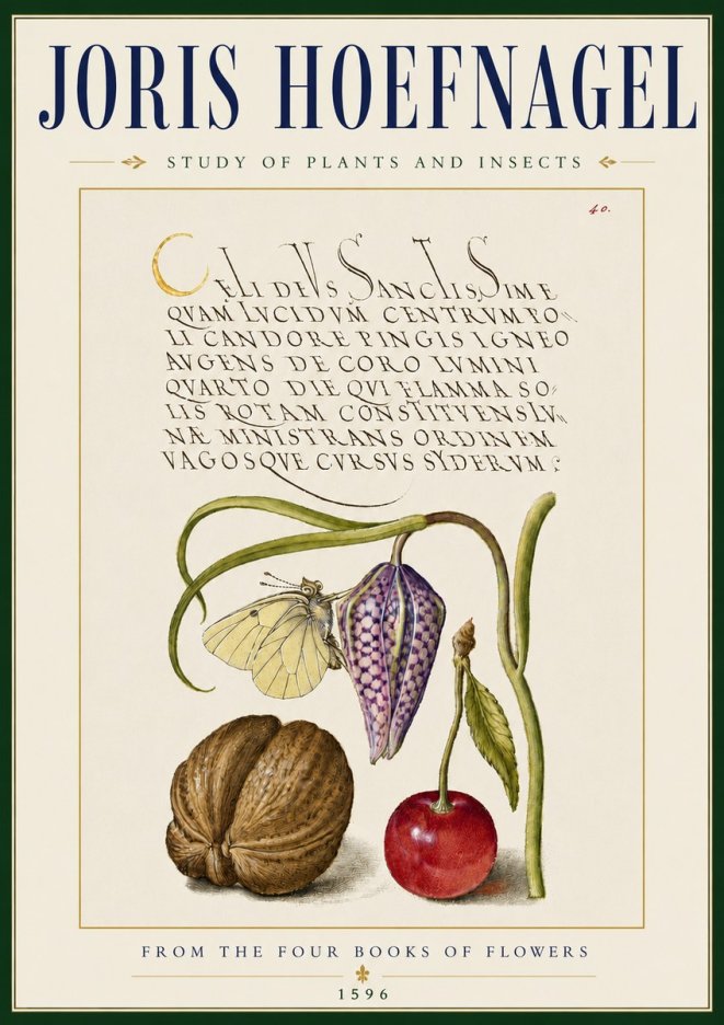 Joris Hoefnagel Study of Plants and Insects No5 - Plakat