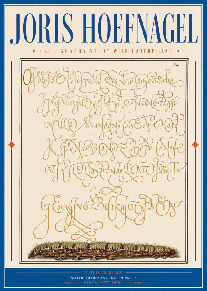 Joris Hoefnagel Calligraphy Study with Caterpillar No2 - Plakat