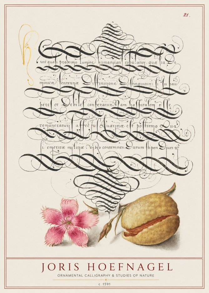 Joris Hoefnagel Ornamental Calligraphy & Studies of Nature No1 - Plakat