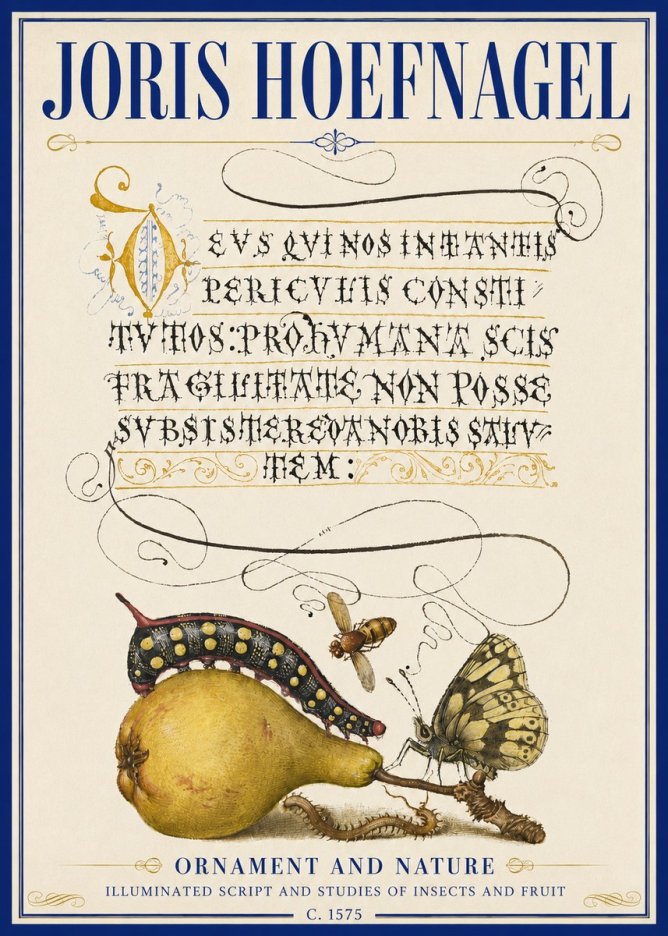 Joris Hoefnagel Ornament and Nature - Illuminated Script and Studies of Insects and Fruit No5 - Plakat