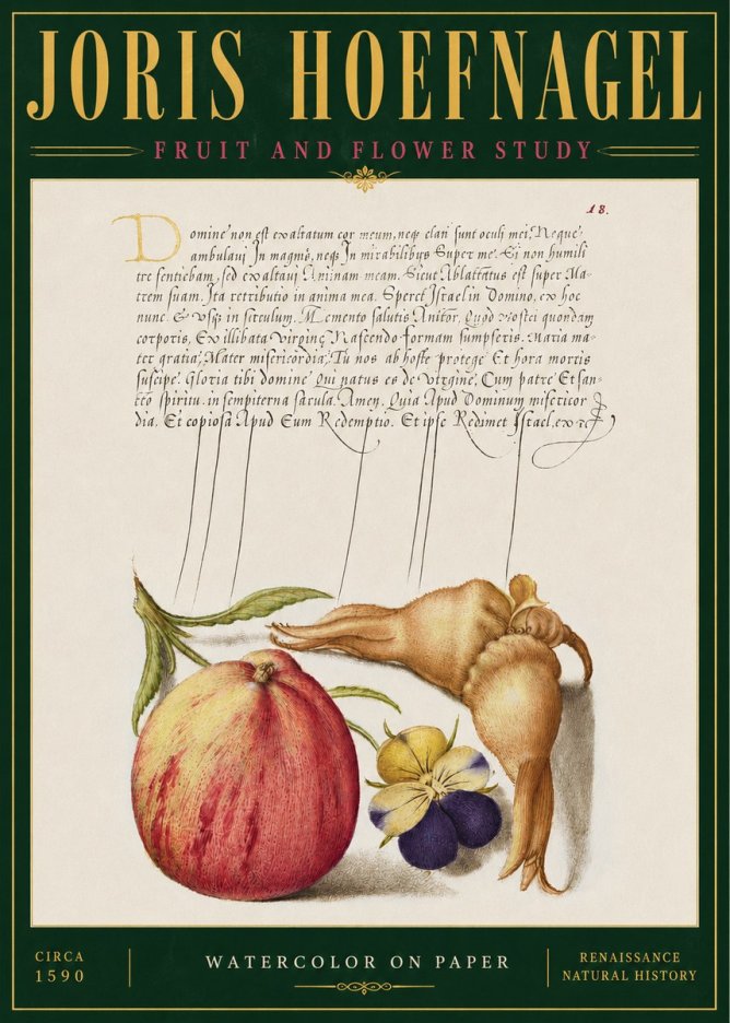 Joris Hoefnagel Fruit and Flower Study No4 - Plakat