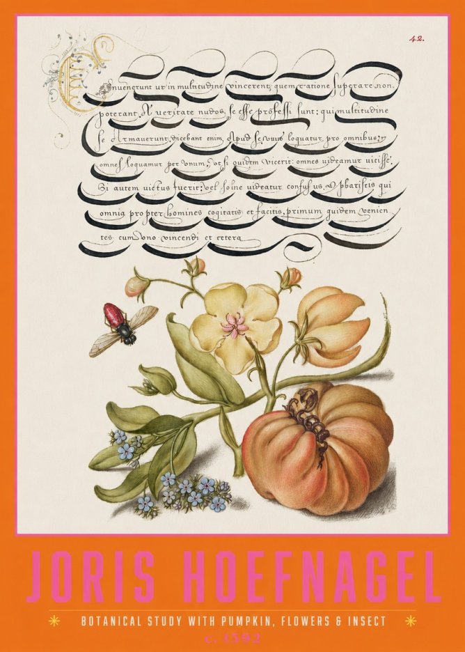 Joris Hoefnagel Botanical Study with Pumpkin, Flowers & Insect No2 - Plakat
