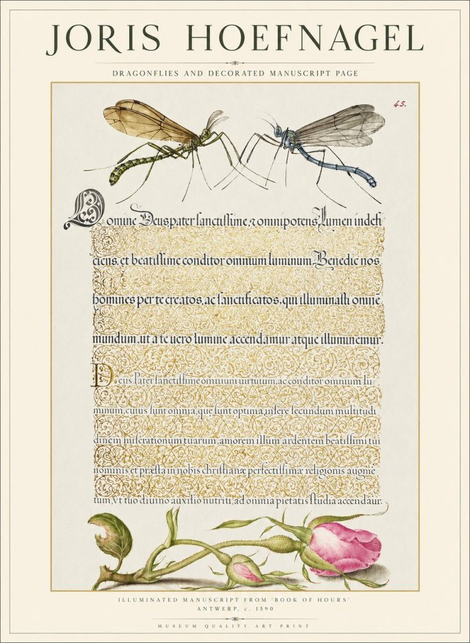 Joris Hoefnagel Dragonflies and Decorated Manuscript Page No1 - Plakat