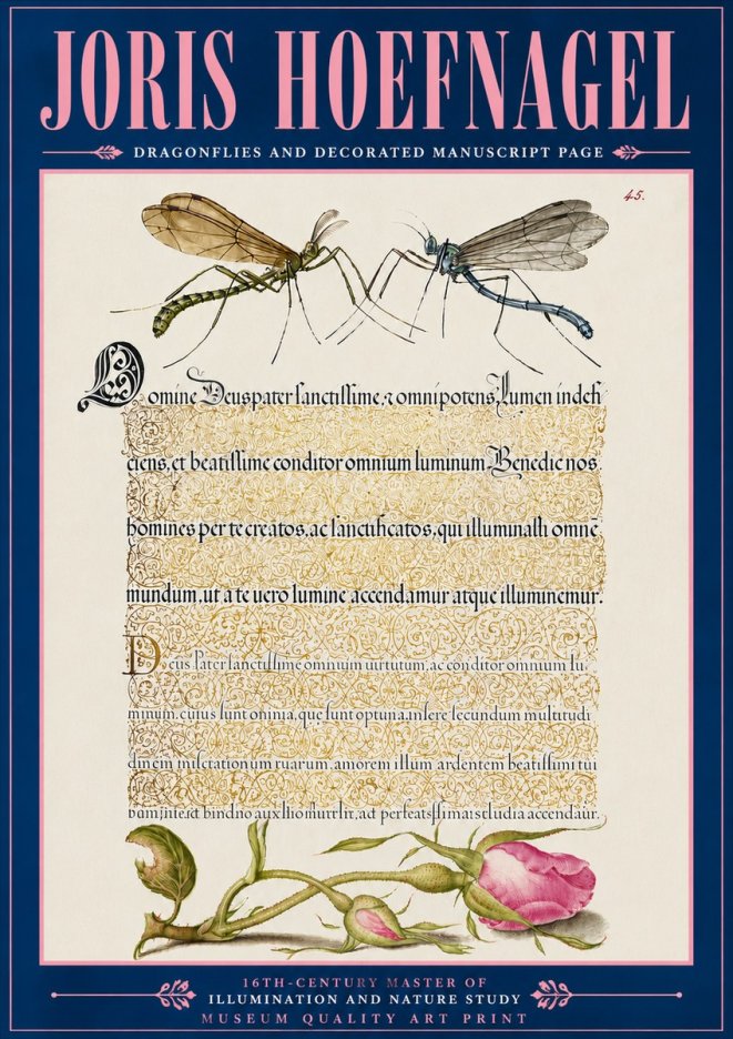 Joris Hoefnagel Dragonflies and Decorated Manuscript Page No6 - Plakat