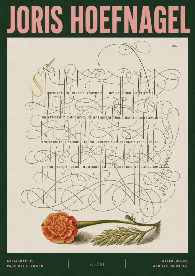 Joris Hoefnagel Calligraphic Study with Marigold No3 - Plakat