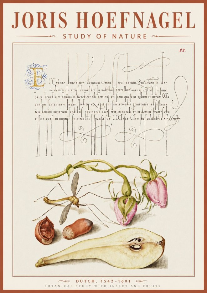 Joris Hoefnagel Studies of Plants, Insects and Fruits No5 - Plakat