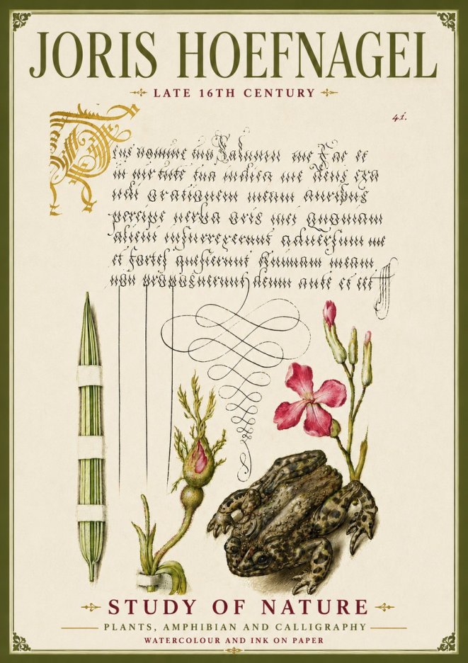 Joris Hoefnagel Study of Nature I No6 - Plakat