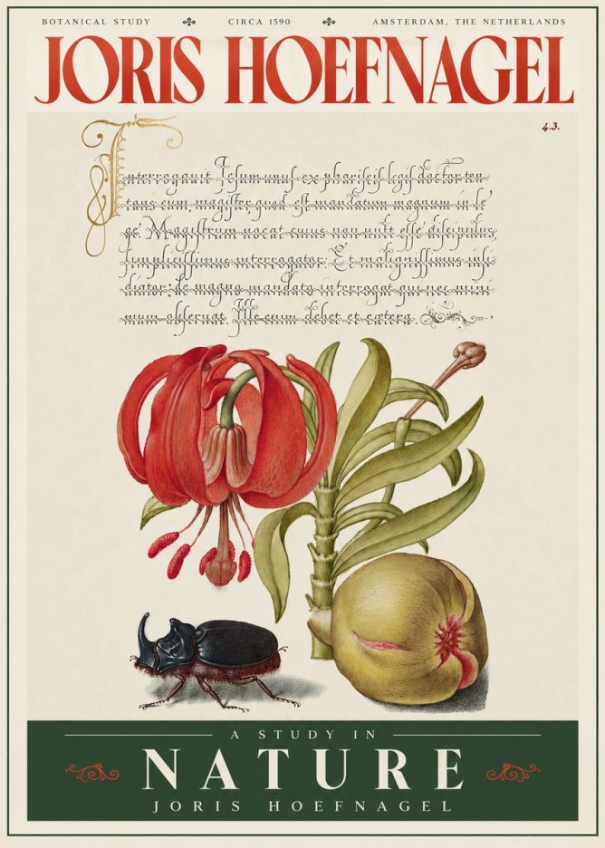 Joris Hoefnagel Botanical Study II No4 - Plakat