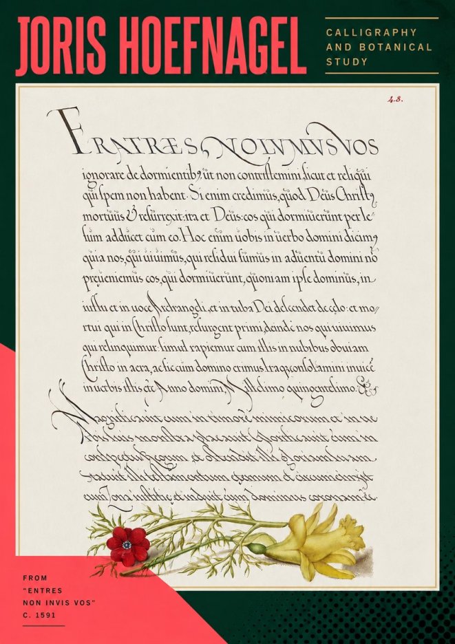 Joris Hoefnagel Calligraphy and Botanical Study I No5 - Plakat