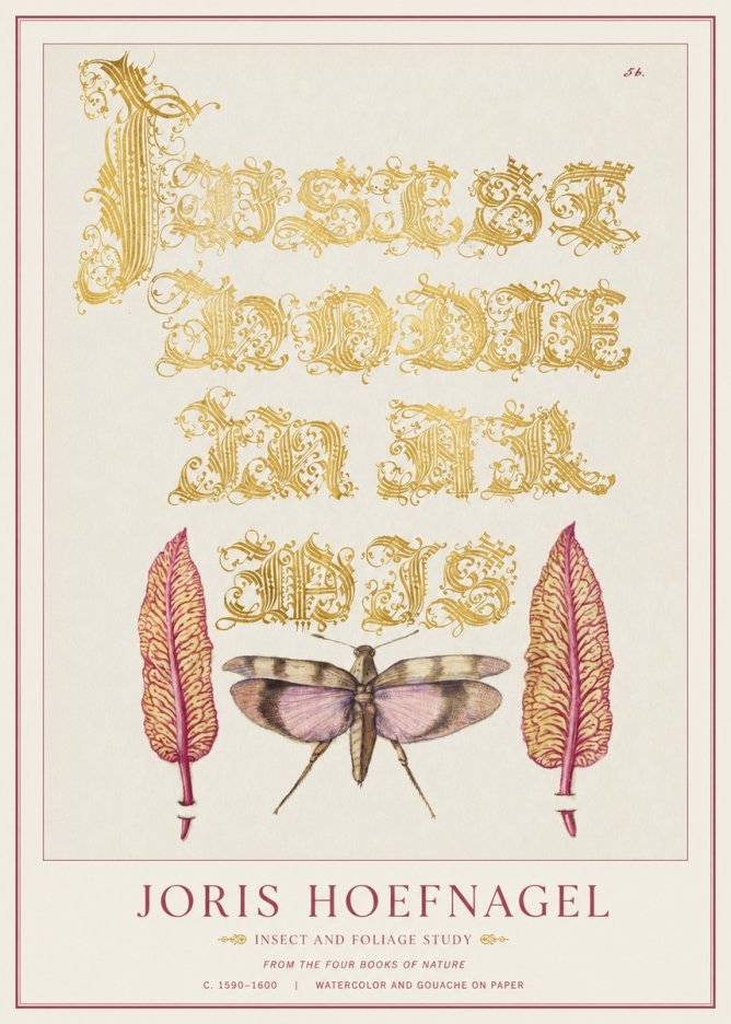 Joris Hoefnagel Insect and Foliage Study No1 - Plakat
