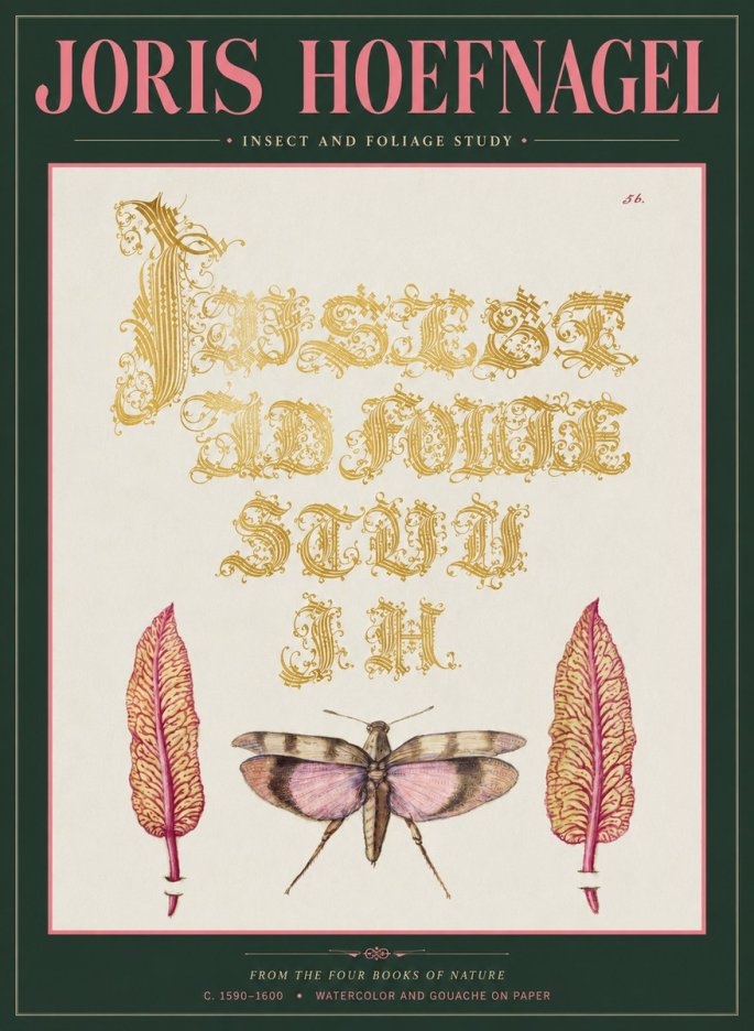 Joris Hoefnagel Insect and Foliage Study No2 - Plakat