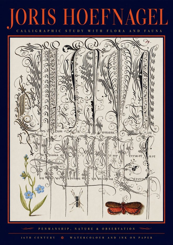 Joris Hoefnagel Calligraphic Study with Flora and Fauna No2 - Plakat