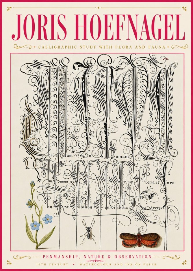 Joris Hoefnagel Calligraphic Study with Flora and Fauna No6 - Plakat