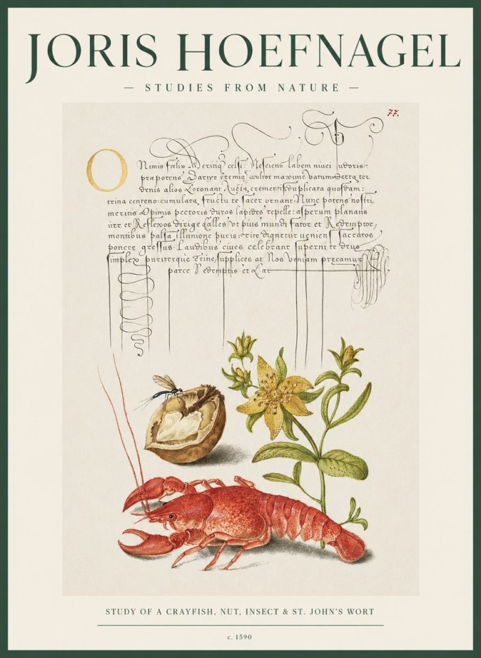 Joris Hoefnagel Studies from Nature No2 - Plakat