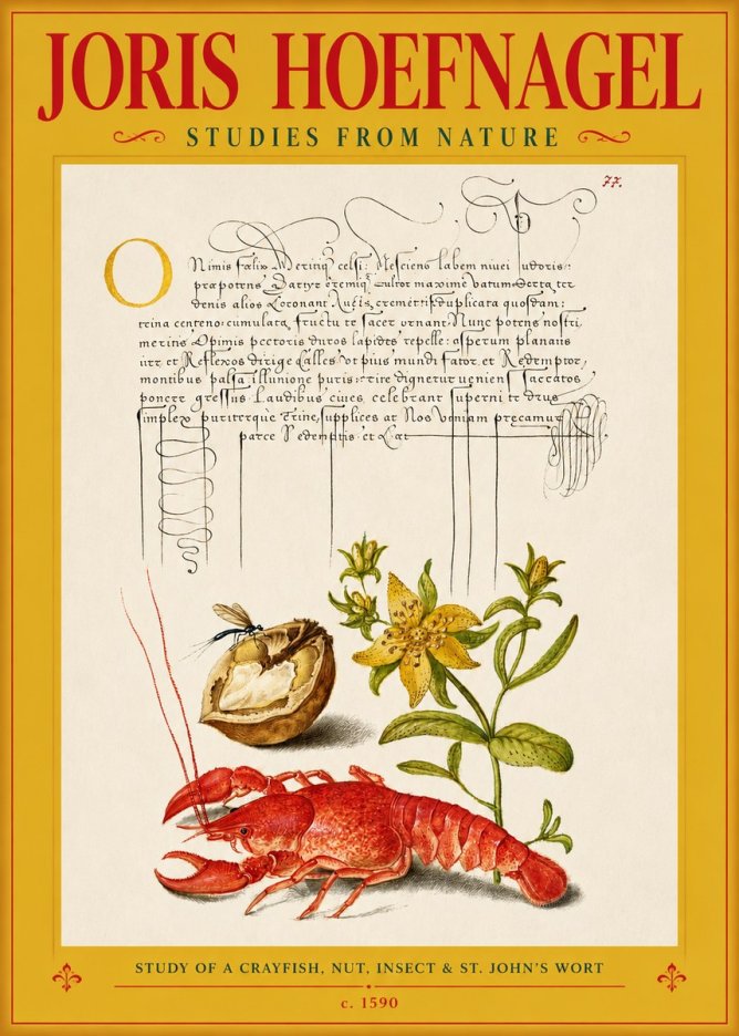 Joris Hoefnagel Studies from Nature No3 - Plakat