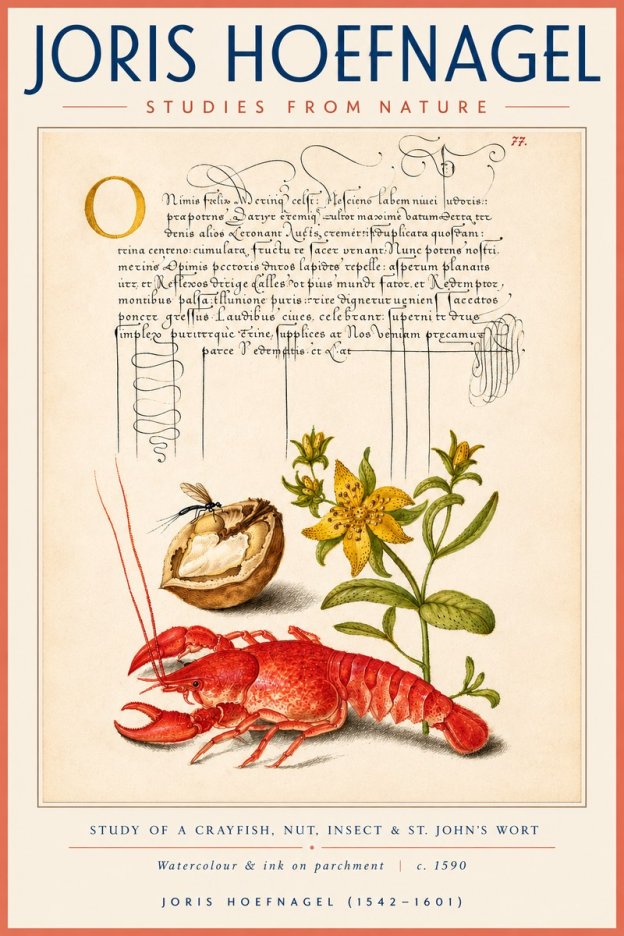 Joris Hoefnagel Studies from Nature No4 - Plakat