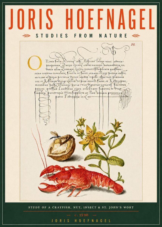 Joris Hoefnagel Studies from Nature No5 - Plakat