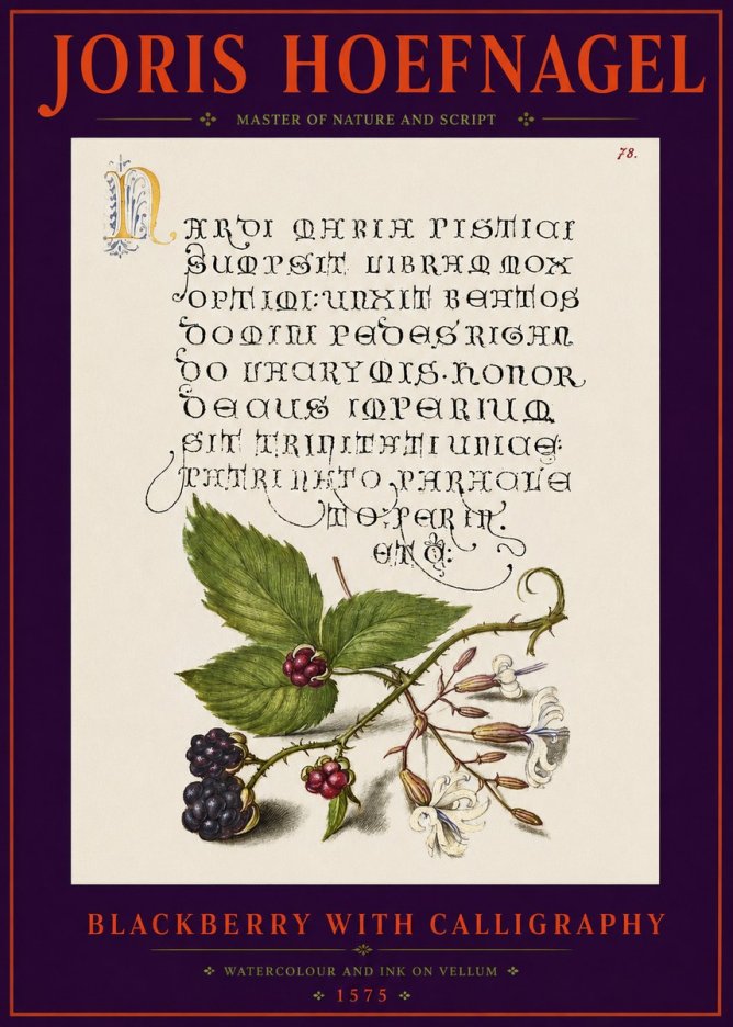Joris Hoefnagel Calligraphy and Botanical Study II No6 - Plakat