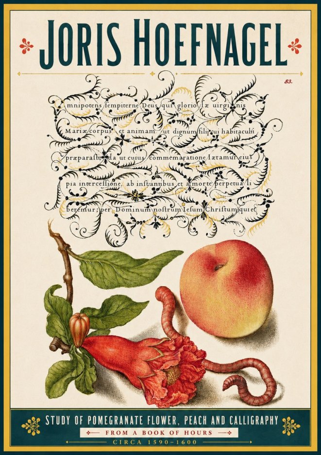 Joris Hoefnagel Study of Pomegranate Flower, Peach and Calligraphy from a Book of Hours No5 - Plakat