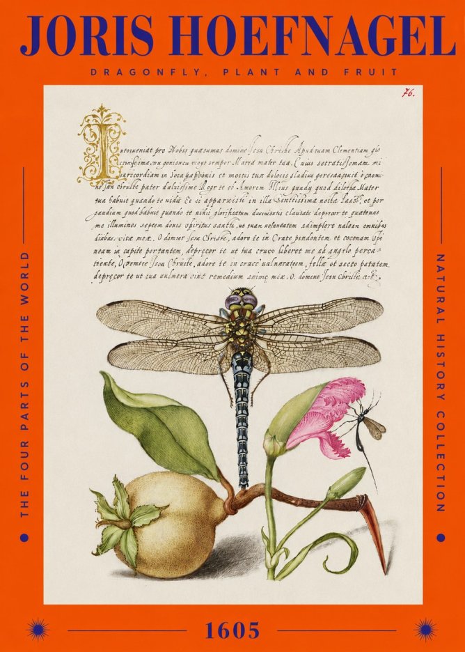Joris Hoefnagel Dragonfly, Plant and Fruit No2 - Plakat