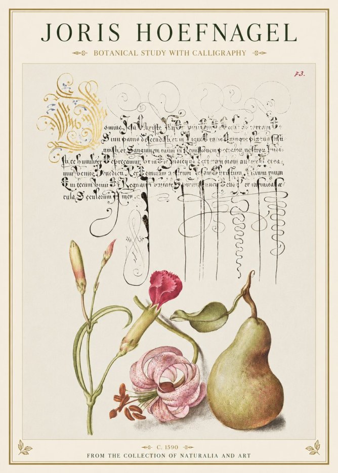 Joris Hoefnagel Botanical Study with Calligraphy II No1 - Plakat