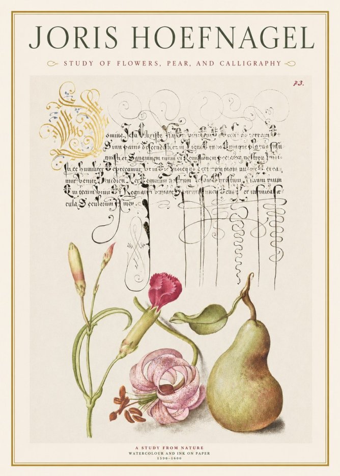 Joris Hoefnagel Botanical Study with Calligraphy II No2 - Plakat