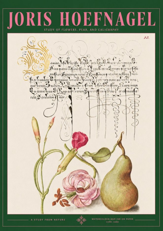 Joris Hoefnagel Botanical Study with Calligraphy II No3 - Plakat