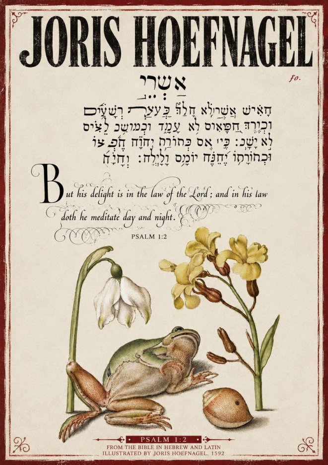 Joris Hoefnagel Psalm 1:2 No4 - Plakat