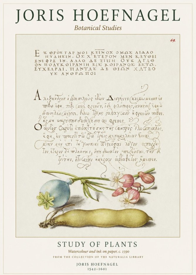 Joris Hoefnagel Study of Plants I No1 - Plakat