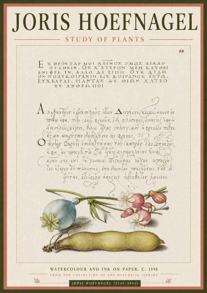 Joris Hoefnagel Study of Plants I No3 - Plakat