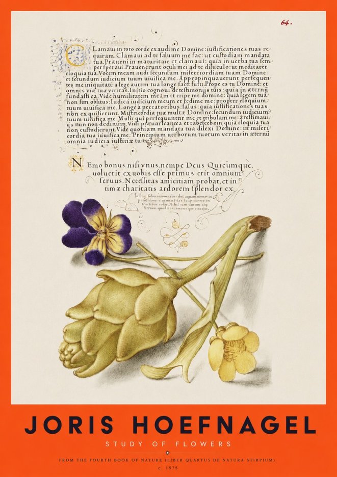 Joris Hoefnagel Botanical Study with Calligraphy III No4 - Plakat