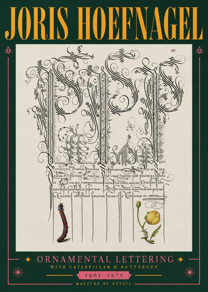 Joris Hoefnagel Ornamental Calligraphy with Caterpillar and Buttercup No5 - Plakat
