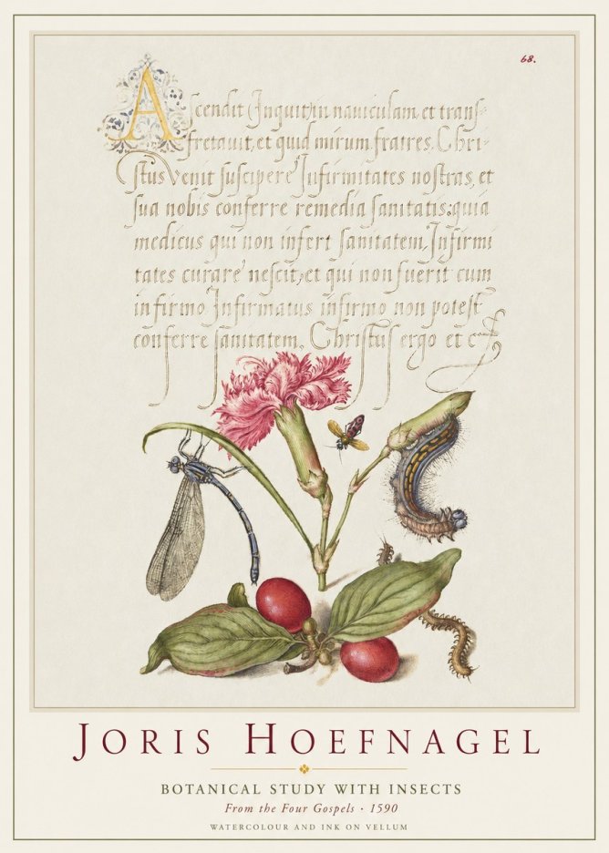 Joris Hoefnagel Botanical Study with Insects No1 - Plakat