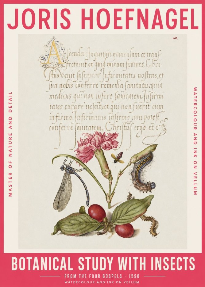 Joris Hoefnagel Botanical Study with Insects No2 - Plakat