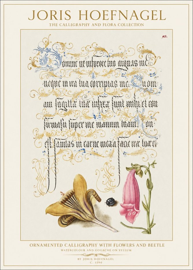 Joris Hoefnagel Ornamented Calligraphy with Flowers and Beetle No1 - Plakat