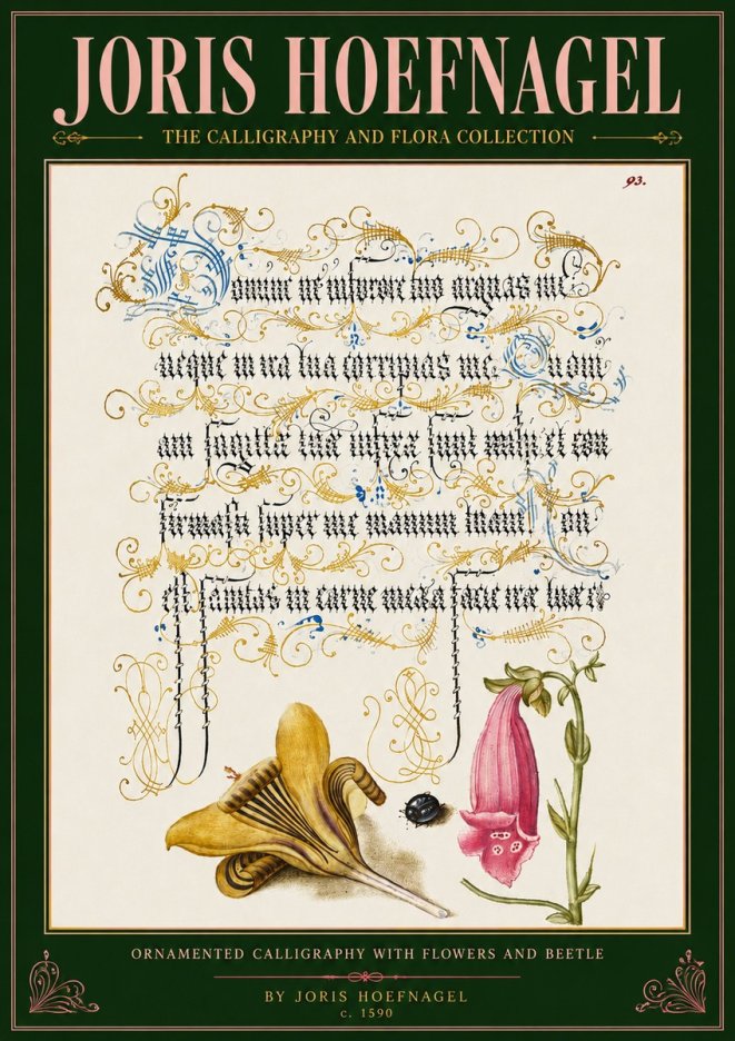 Joris Hoefnagel Ornamented Calligraphy with Flowers and Beetle No4 - Plakat