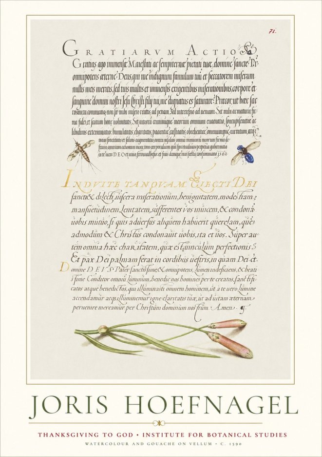 Joris Hoefnagel Thanksgiving to God • Institute for Botanical Studies No1 - Plakat