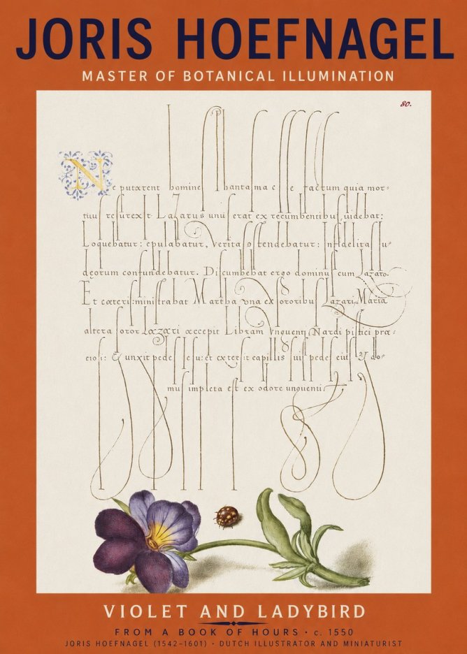 Joris Hoefnagel Violet and Ladybird No2 - Plakat